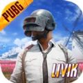 pubg地铁逃生亚服PUBG MOBILE